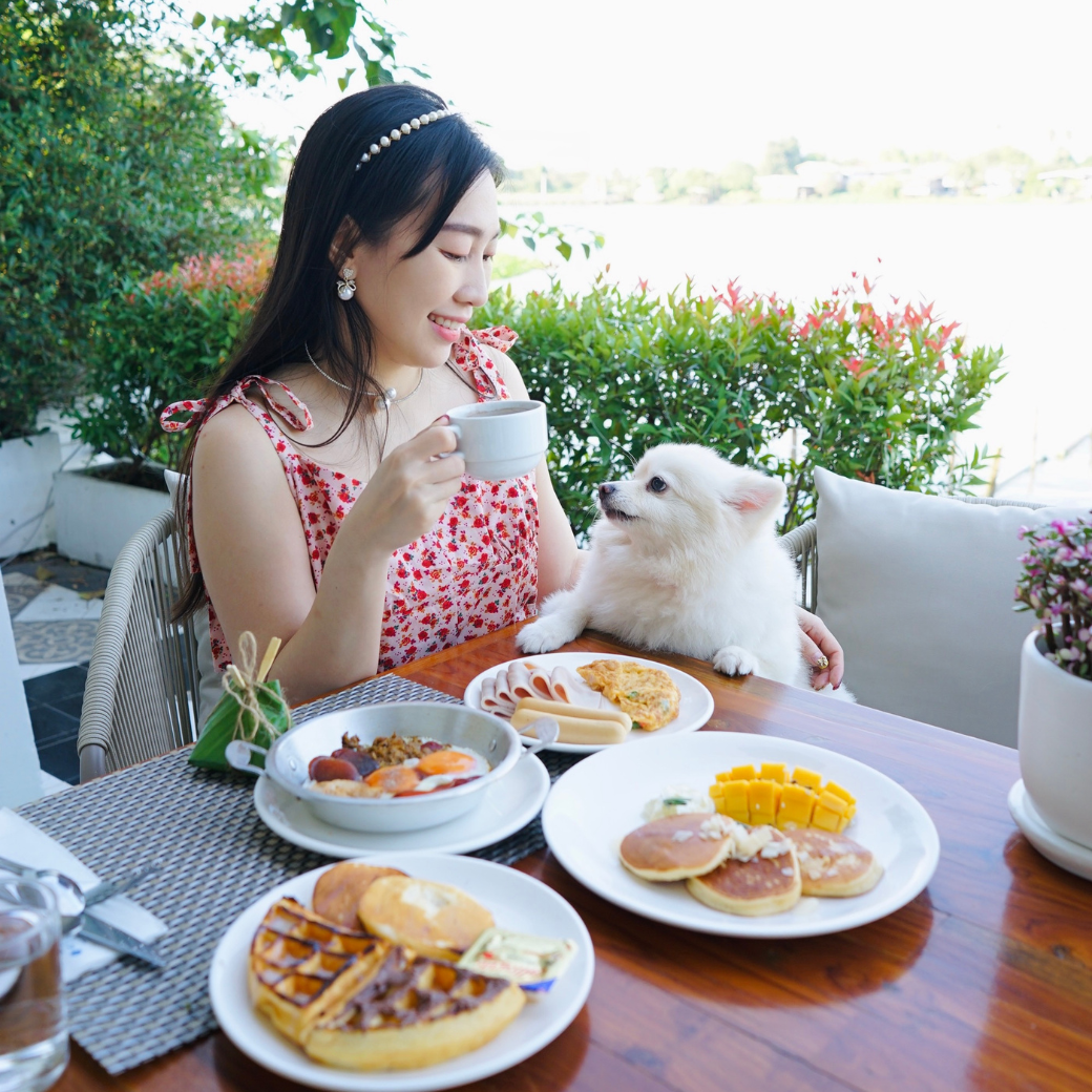 Pet-friendly room offers