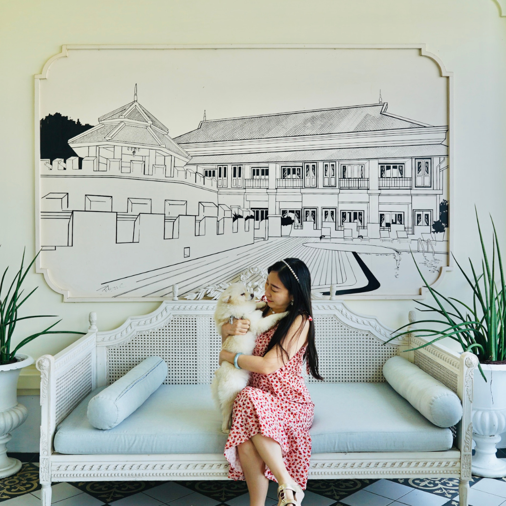 Pet-friendly room offers