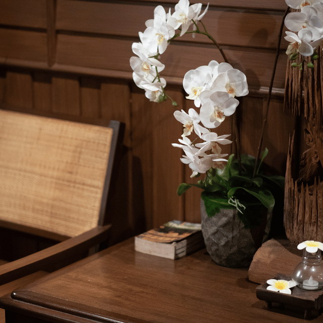 Bu-Nga Spa Offer