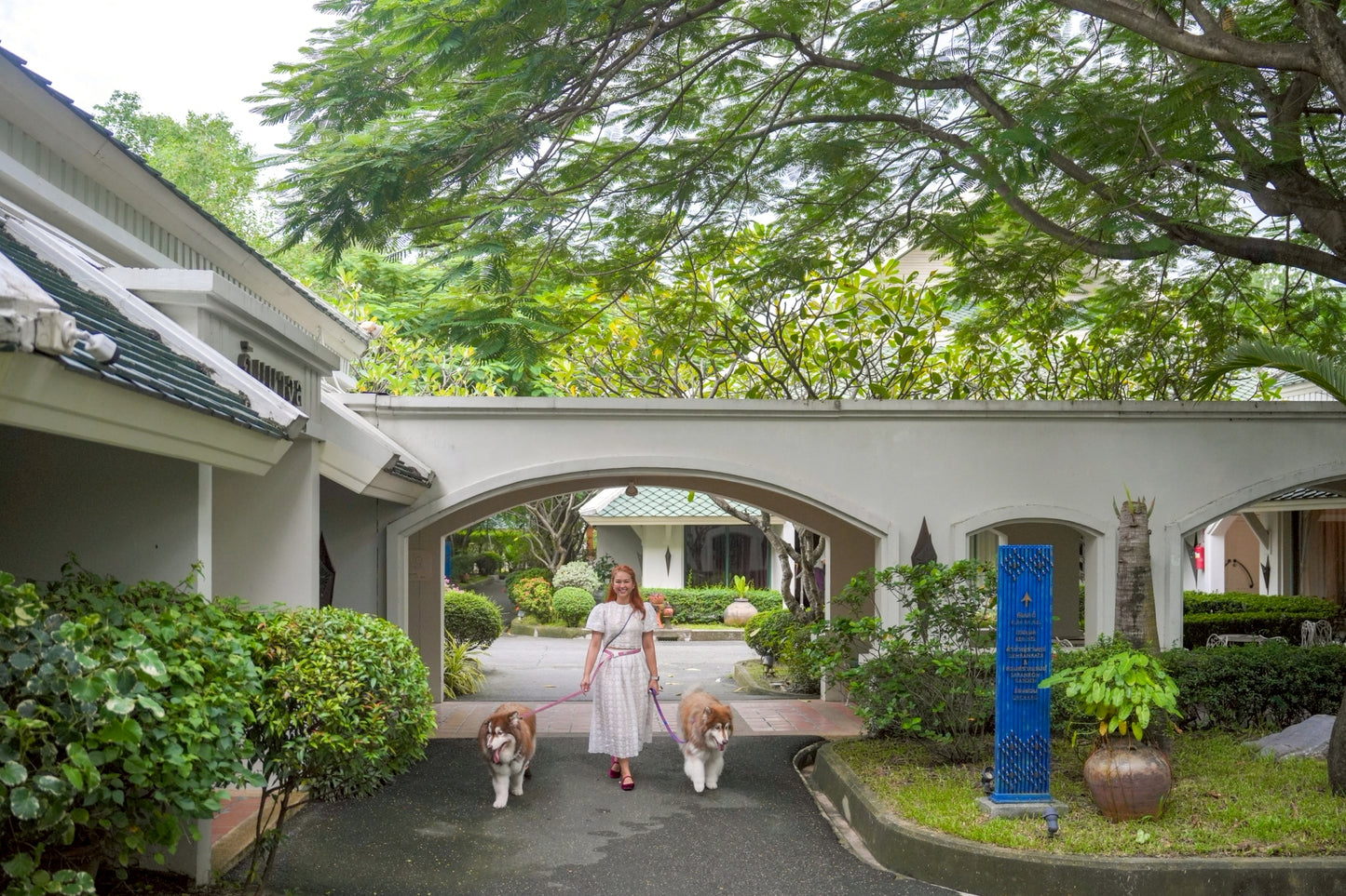 Pet-friendly room offers