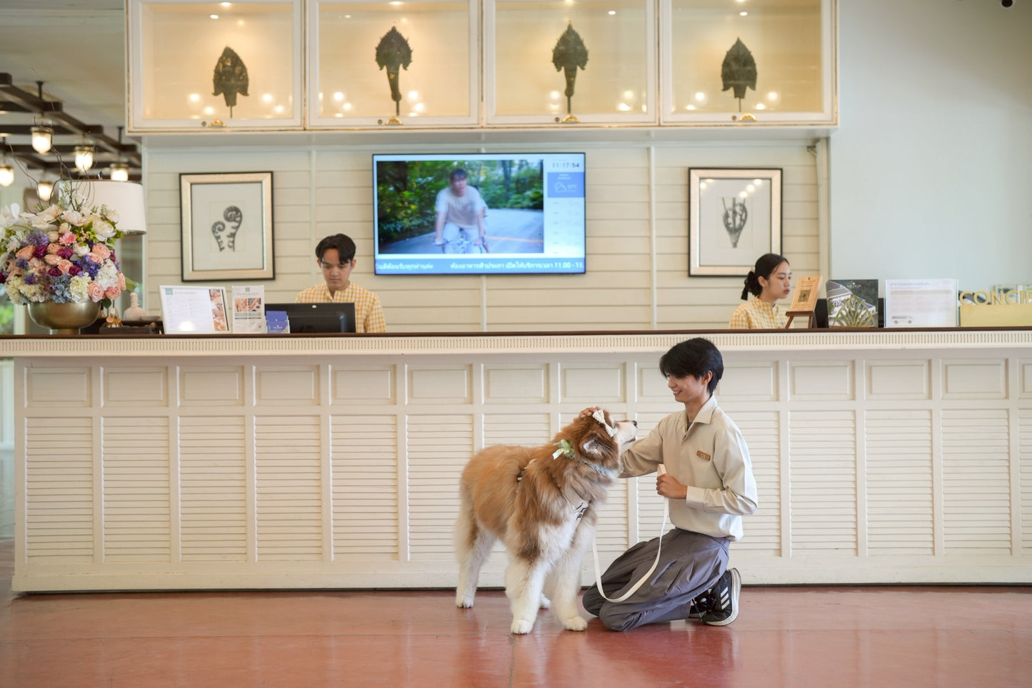 Pet-friendly room offers