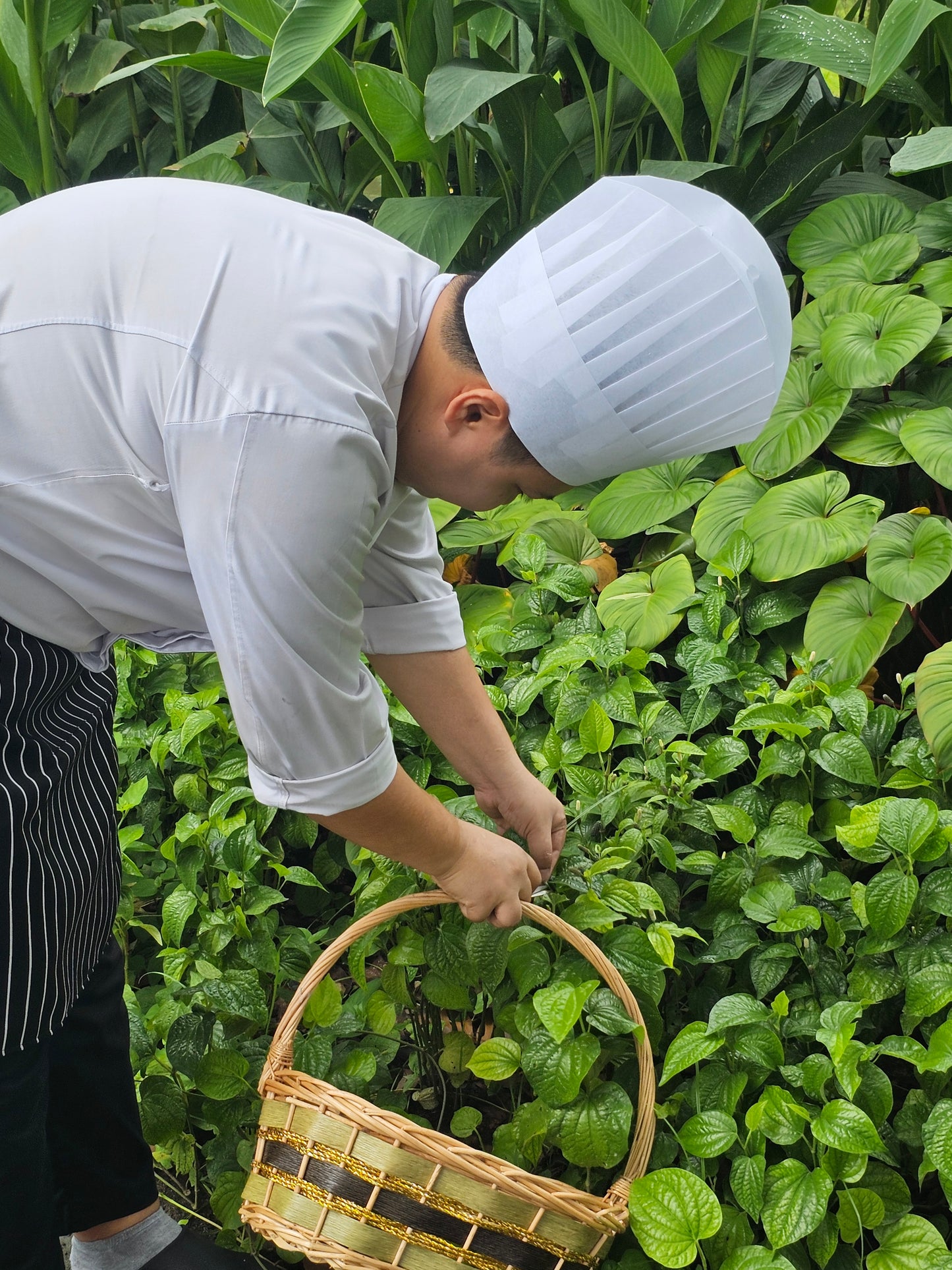 Kalanan Experience - Thai Culinary Class