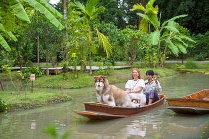 Pet-friendly room offers
