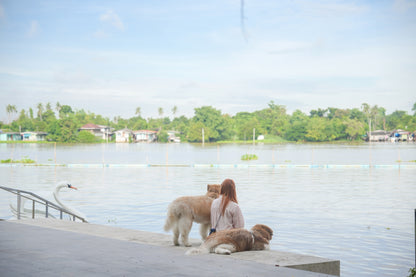 Pet-friendly room offers