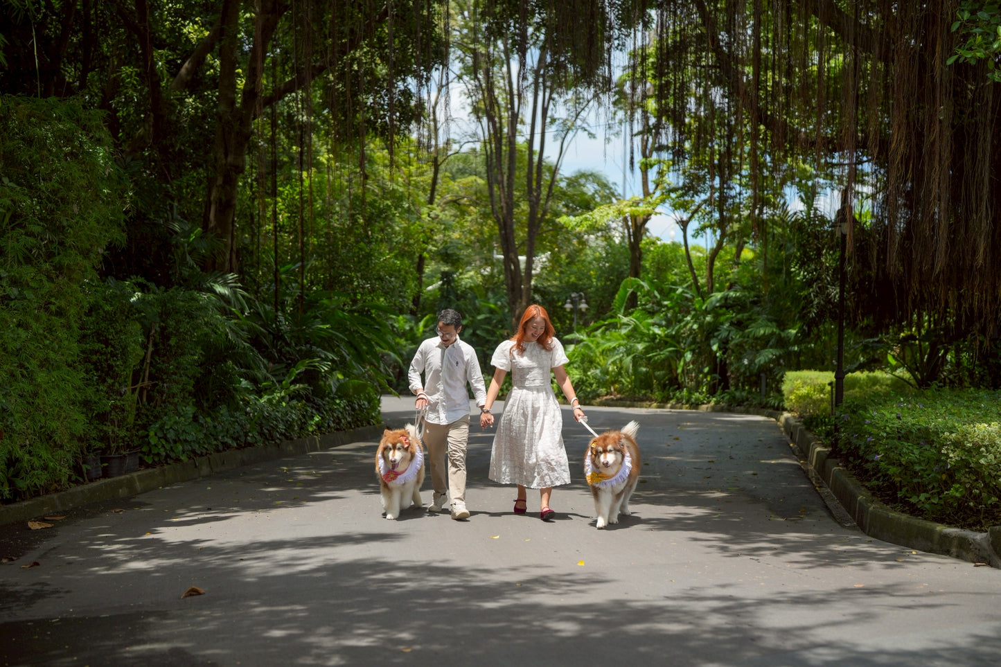 Pet-friendly room offers