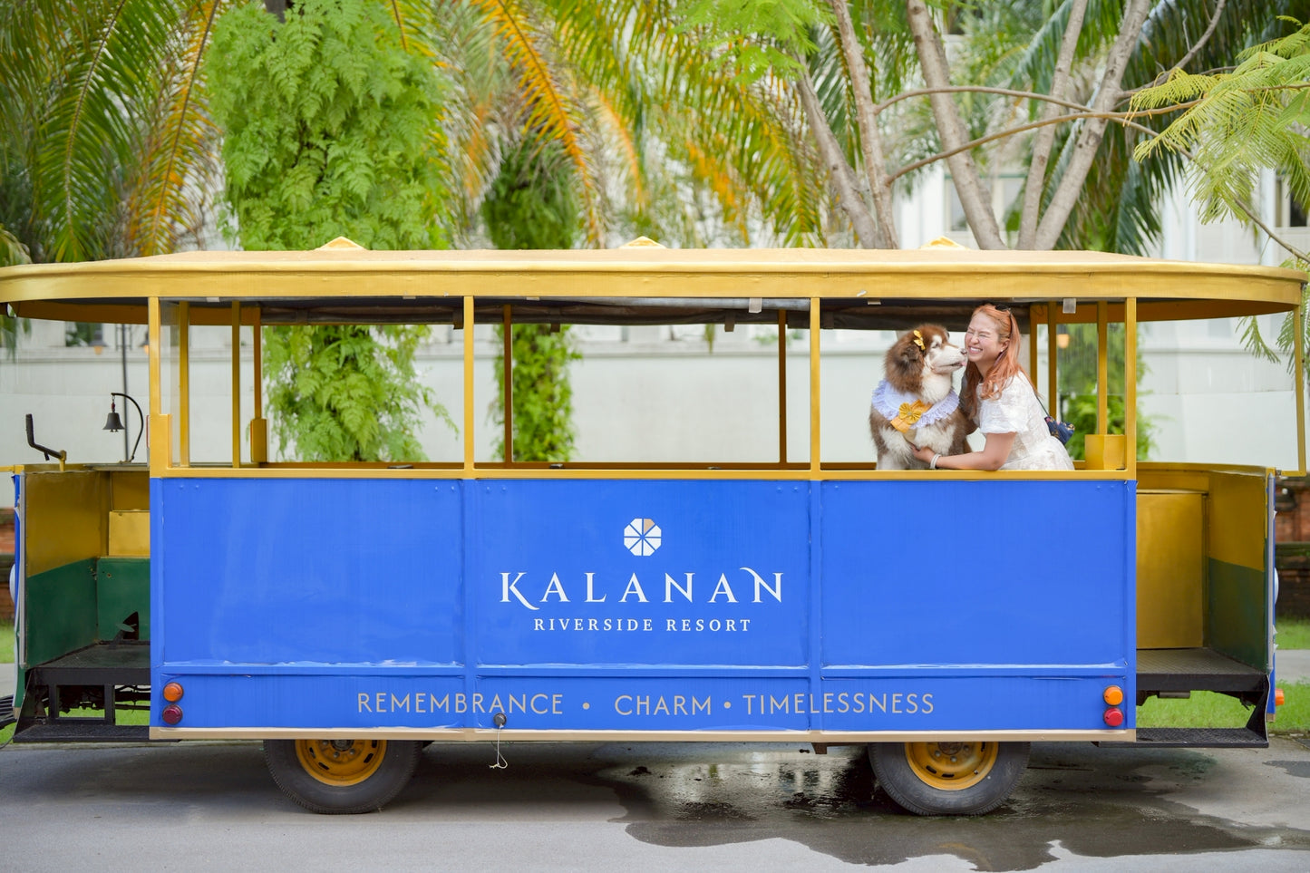 Pet-friendly room offers