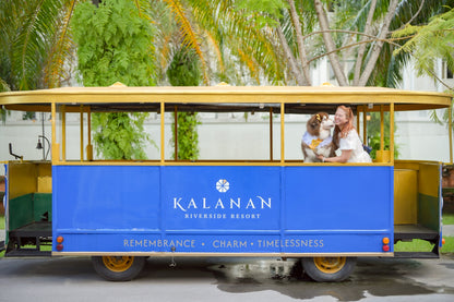 Pet-friendly room offers